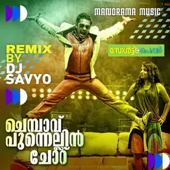 Chembavu - DJ Remix (From "Salt N' Pepper")